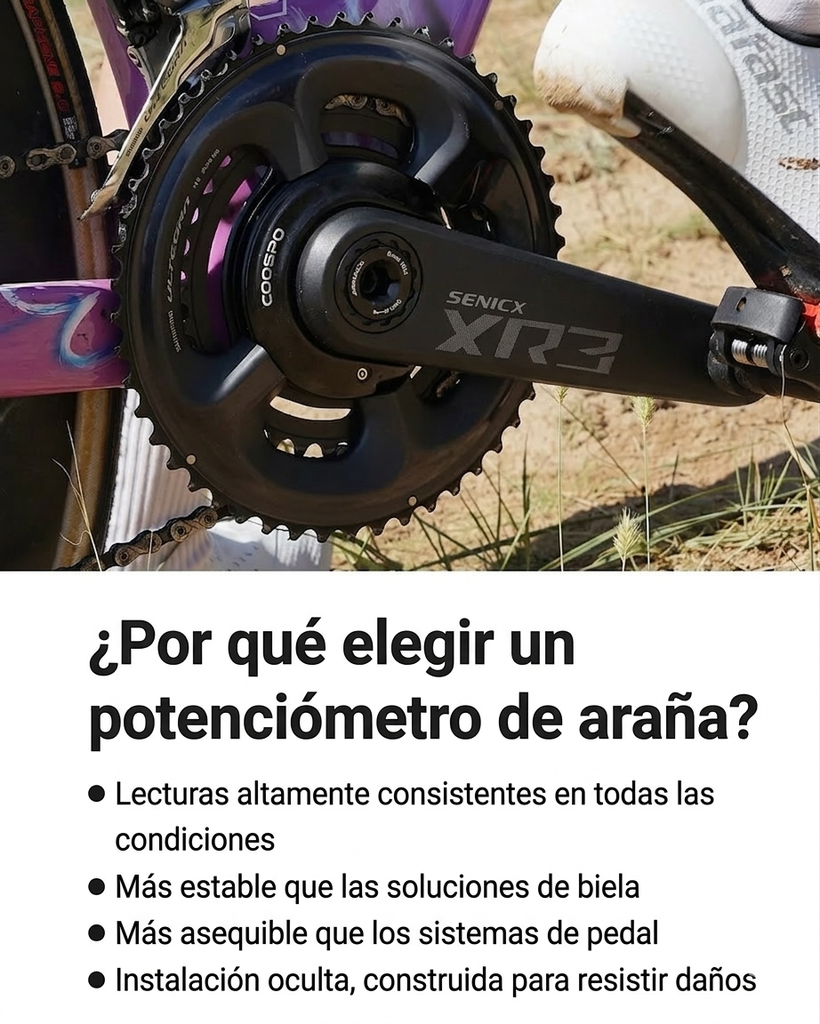 ¿por qué elegir un potenciometro de araña?